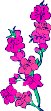 CGA00040.WMF