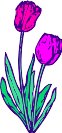 CGA00036.WMF