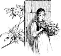 CFZ50014.TIF
