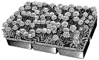 CFZ50009.TIF