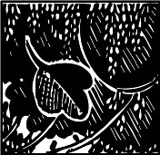 CFZ00009.WMF