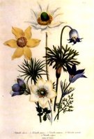 CFY50199.JPG