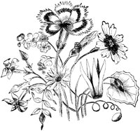 CFY50096.TIF
