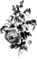 CFY50094.TIF