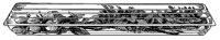 CFY50086.TIF