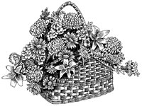 CFY50084.TIF