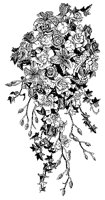 CFY50081.TIF