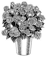 CFY50079.TIF