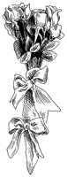 CFY50072.TIF