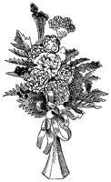CFY50070.TIF