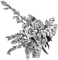 CFY50065.TIF