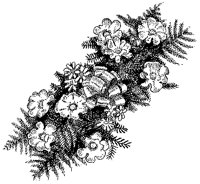 CFY50064.TIF