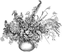CFY50059.TIF