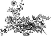 CFY50056.TIF