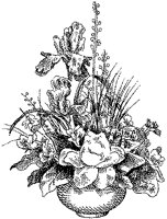 CFY50055.TIF