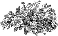 CFY50053.TIF
