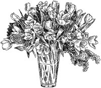 CFY50052.TIF
