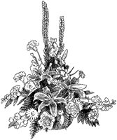 CFY50046.TIF