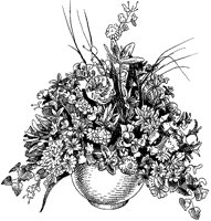 CFY50041.TIF