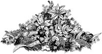 CFY50038.TIF