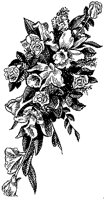 CFY50033.TIF