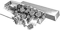 CFY50030.TIF