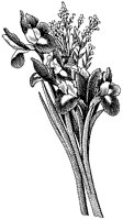 CFY50029.TIF