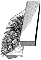 CFY50027.TIF