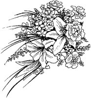 CFY50024.TIF