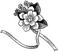 CFY50023.TIF