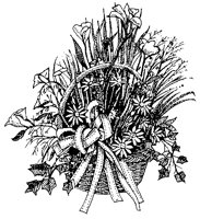 CFY50014.TIF