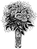 CFY50013.TIF