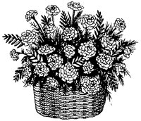 CFY50010.TIF