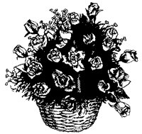 CFY50008.TIF
