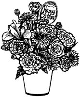 CFY50006.TIF