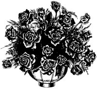 CFY50005.TIF