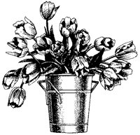 CFY50003.TIF