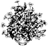 CFY50002.TIF