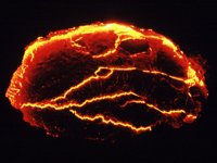 CGS50049.JPG
