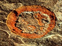 CGG50176.JPG