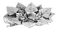 CGY50341.JPG