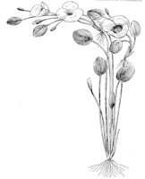 CGY50338.JPG
