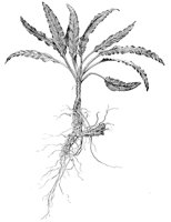 CGY50336.JPG