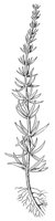 CGY50334.JPG