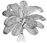 CGY50333.JPG