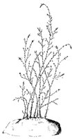 CGY50330.JPG