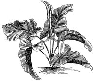 CGY50327.JPG