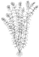 CGY50319.JPG