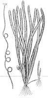 CGY50316.JPG