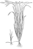 CGY50311.JPG
